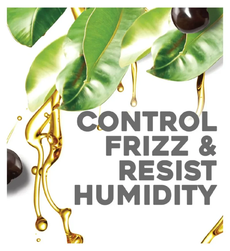 OGX KUKUI OIL SHAMPOO 385ML - Image 4