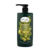 OLIVE OIL BIO- NOURISH SHAMPOO